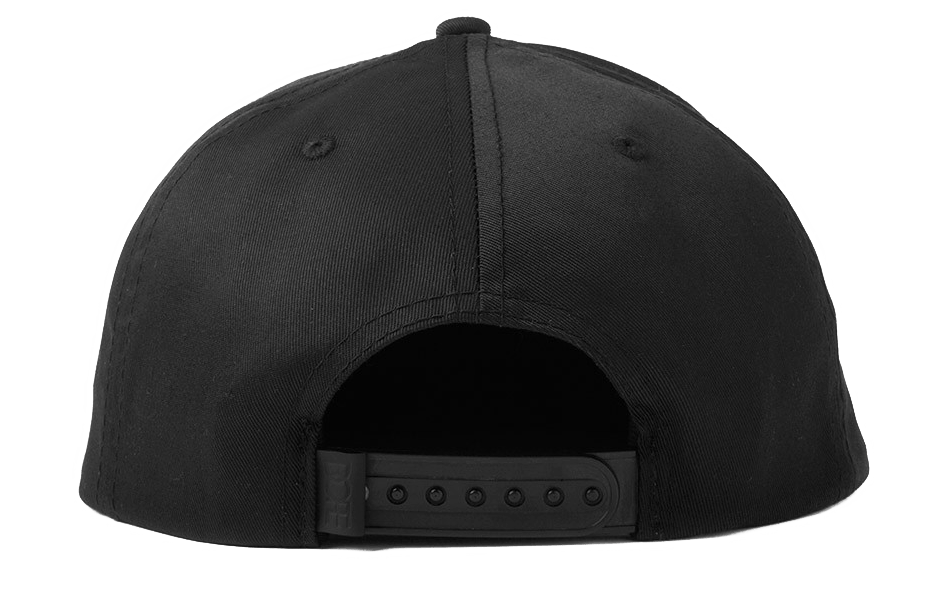 2D Logo snapback (back) - Crisp