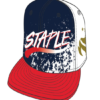 STAPLE PIGEON Olympic Snapback
