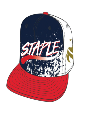 STAPLE PIGEON Olympic Snapback