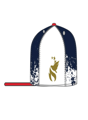 STAPLE PIGEON Olympic Snapback